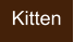 Kitten